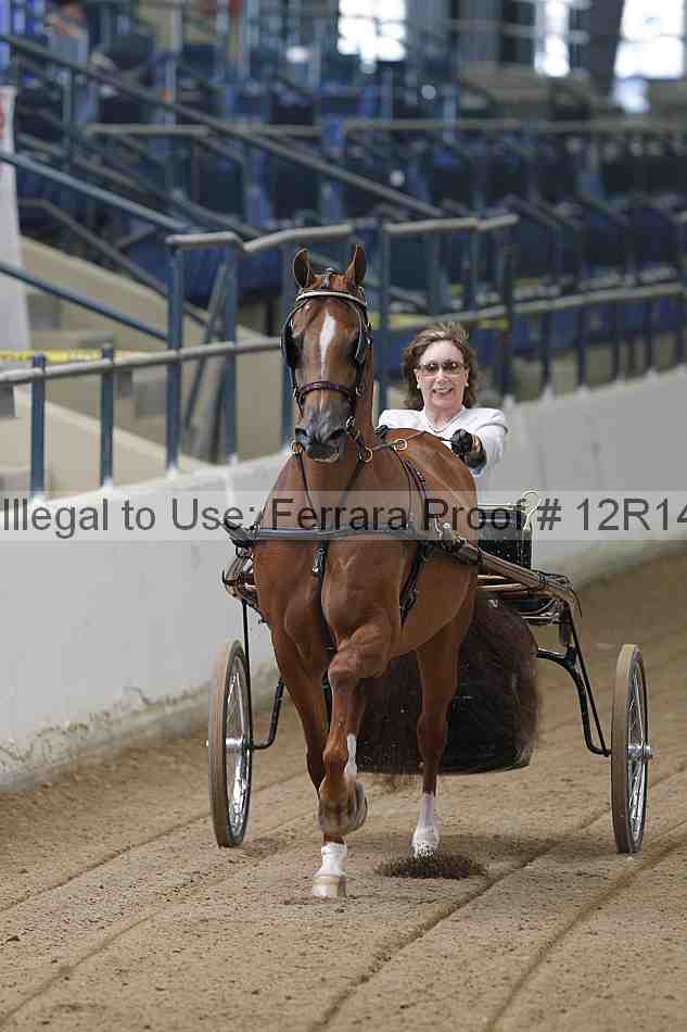 Proof Number 12r14_0301