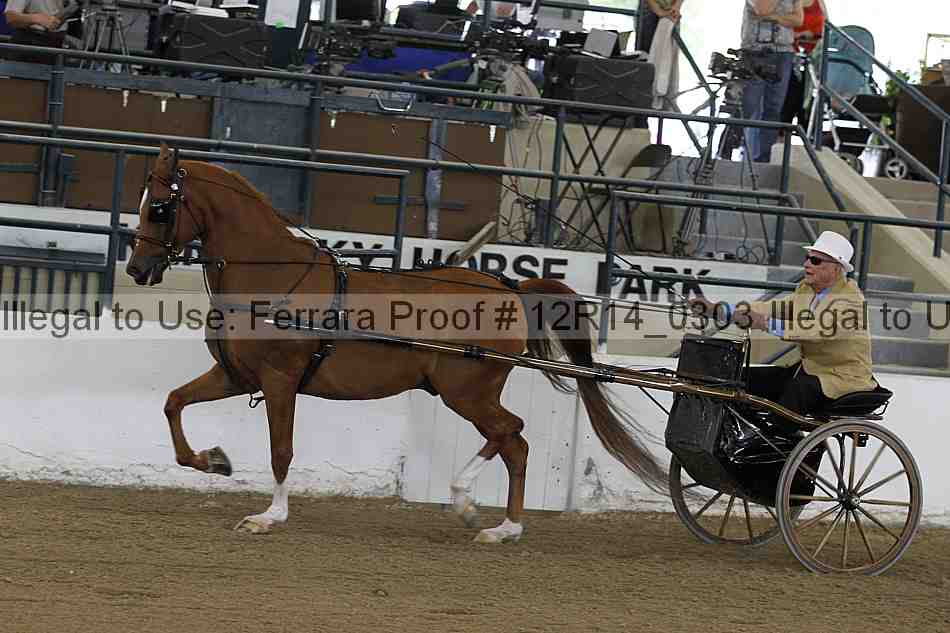 Proof Number 12r14_0303
