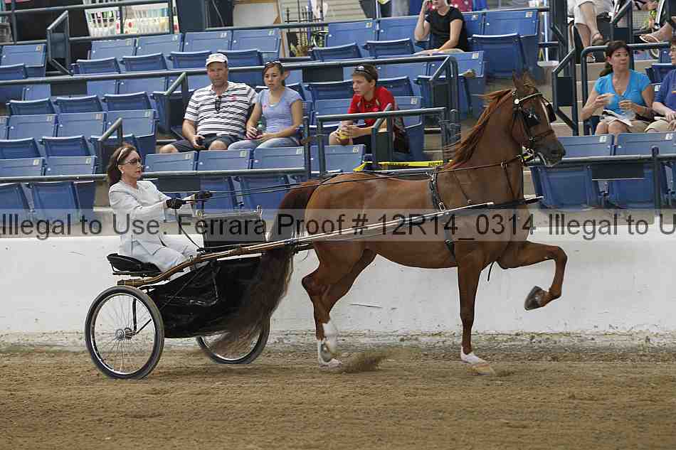 Proof Number 12r14_0314