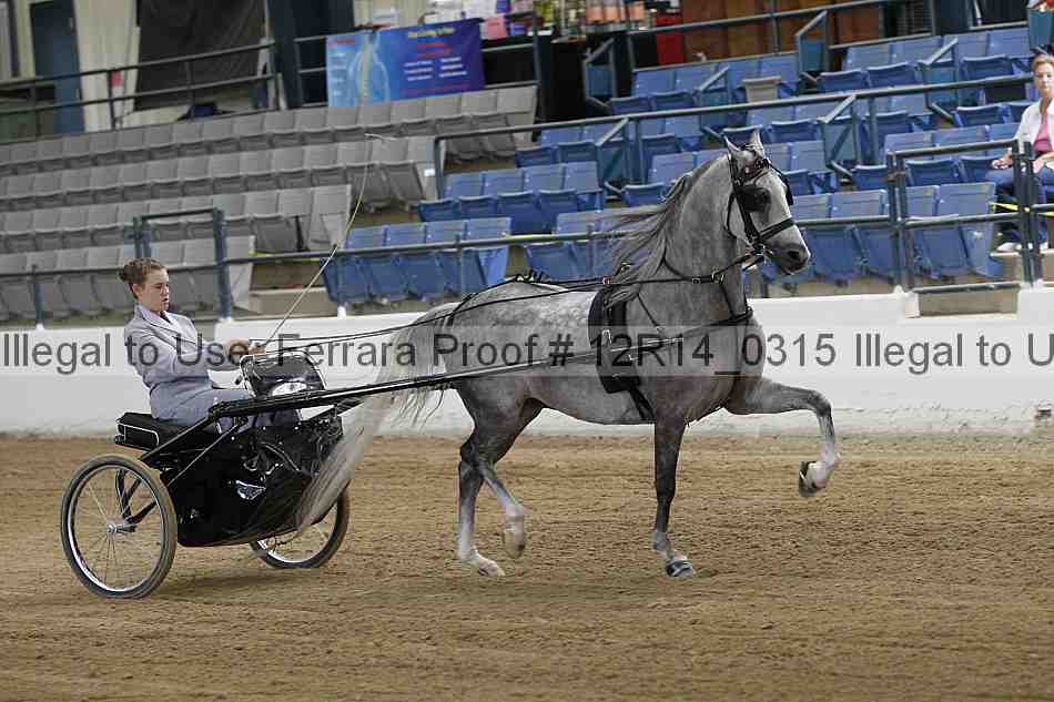 Proof Number 12r14_0315