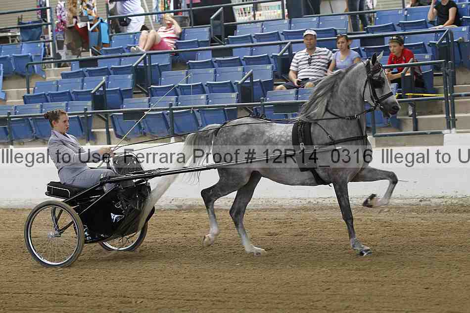 Proof Number 12r14_0316