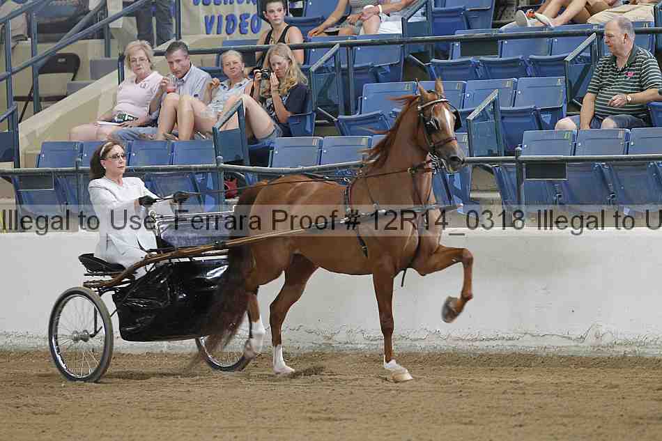 Proof Number 12r14_0318