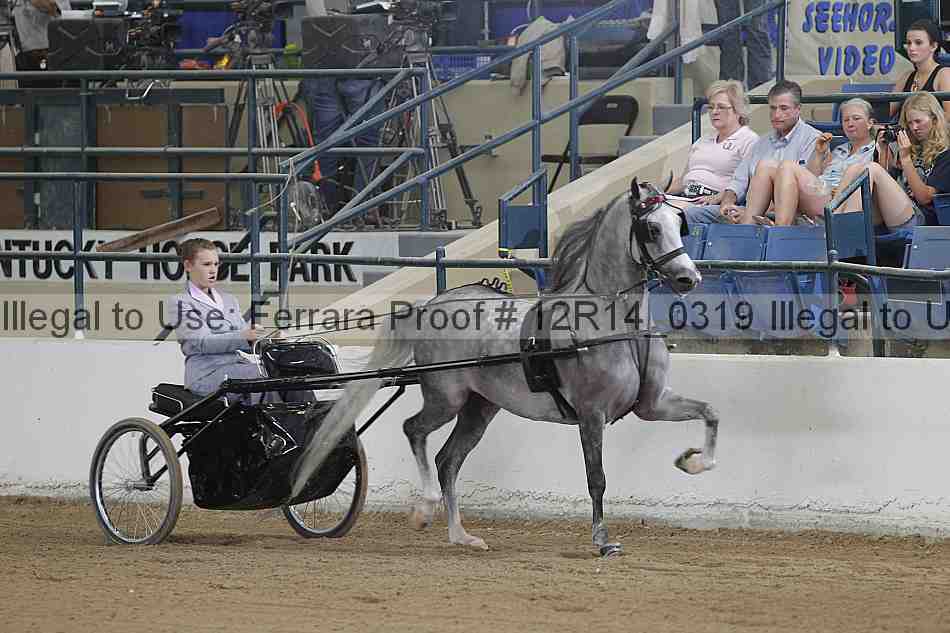 Proof Number 12r14_0319