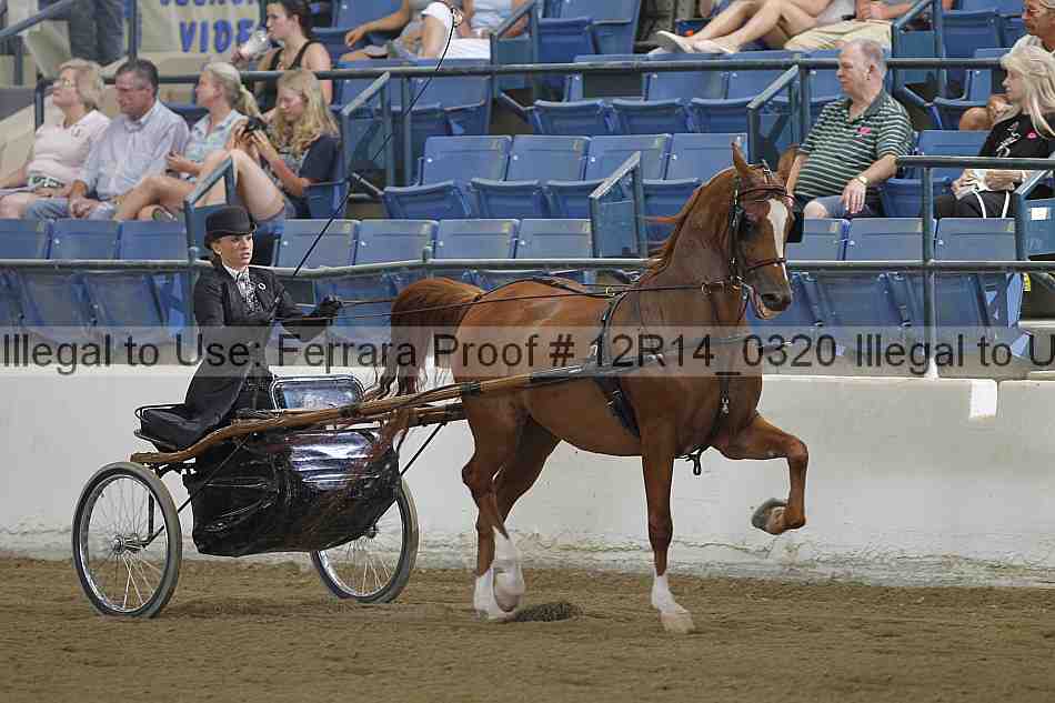 Proof Number 12r14_0320