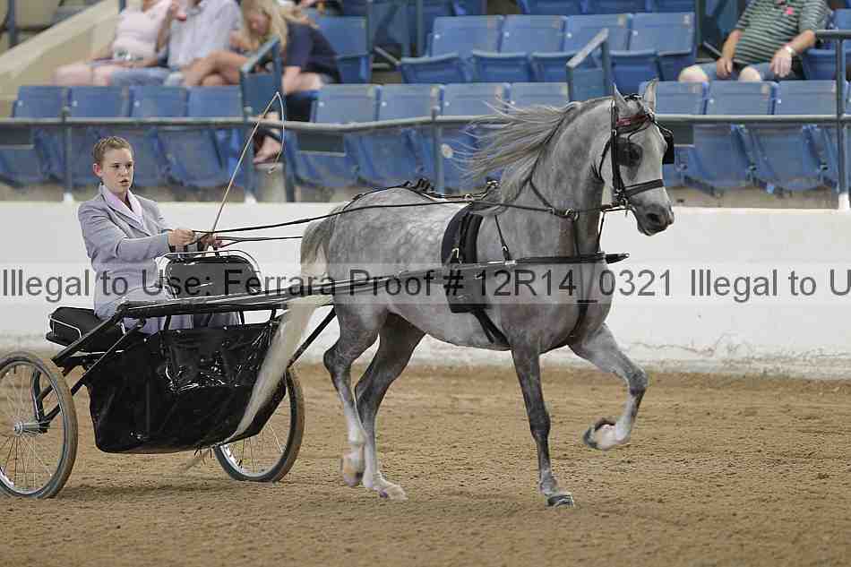 Proof Number 12r14_0321