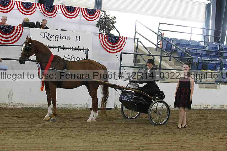 Proof Number 12r14_0322
