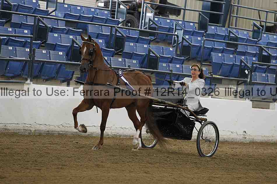 Proof Number 12r14_0326