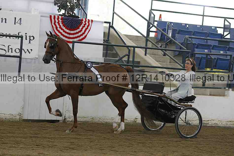 Proof Number 12r14_0328
