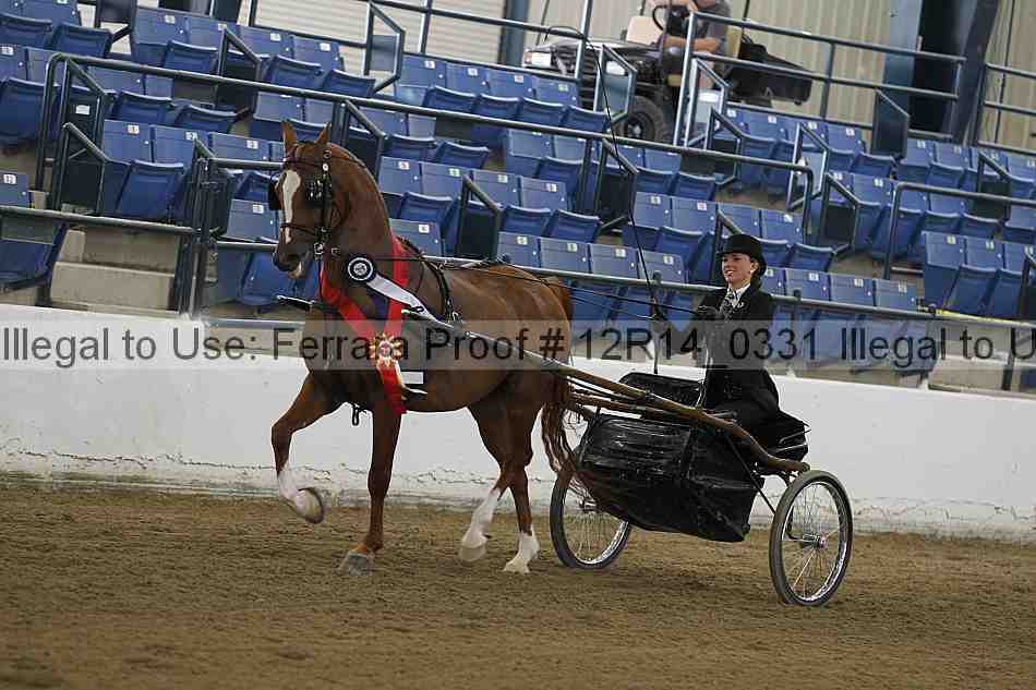 Proof Number 12r14_0331