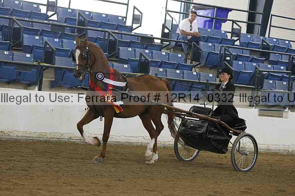 Proof Number 12r14_0332