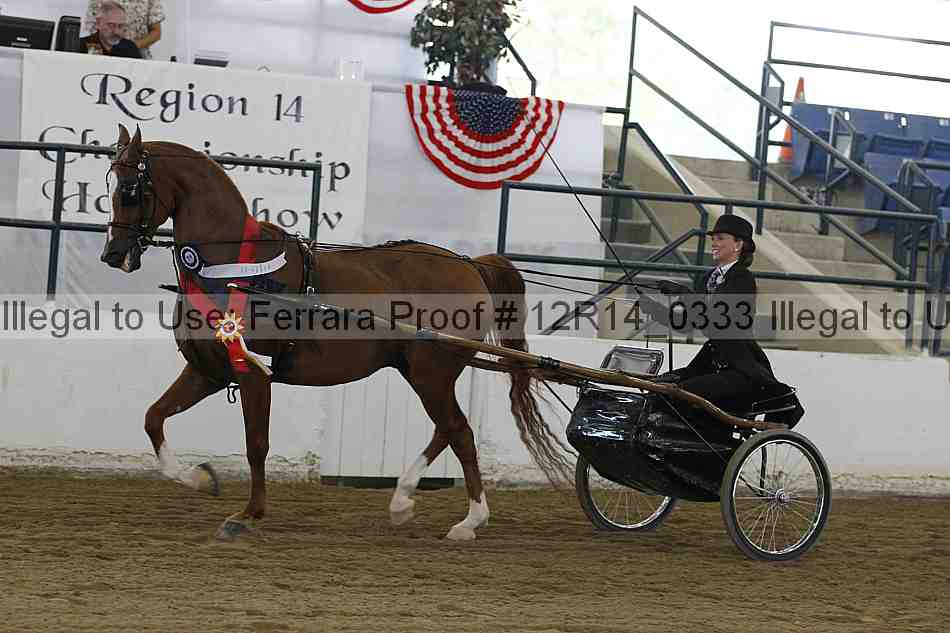 Proof Number 12r14_0333
