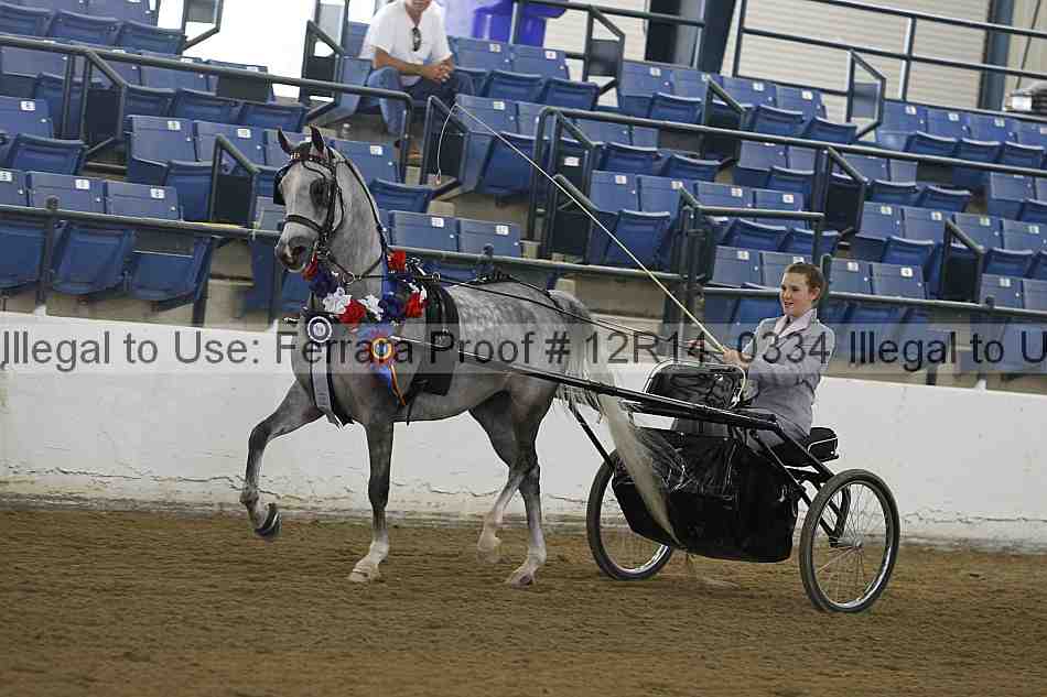 Proof Number 12r14_0334