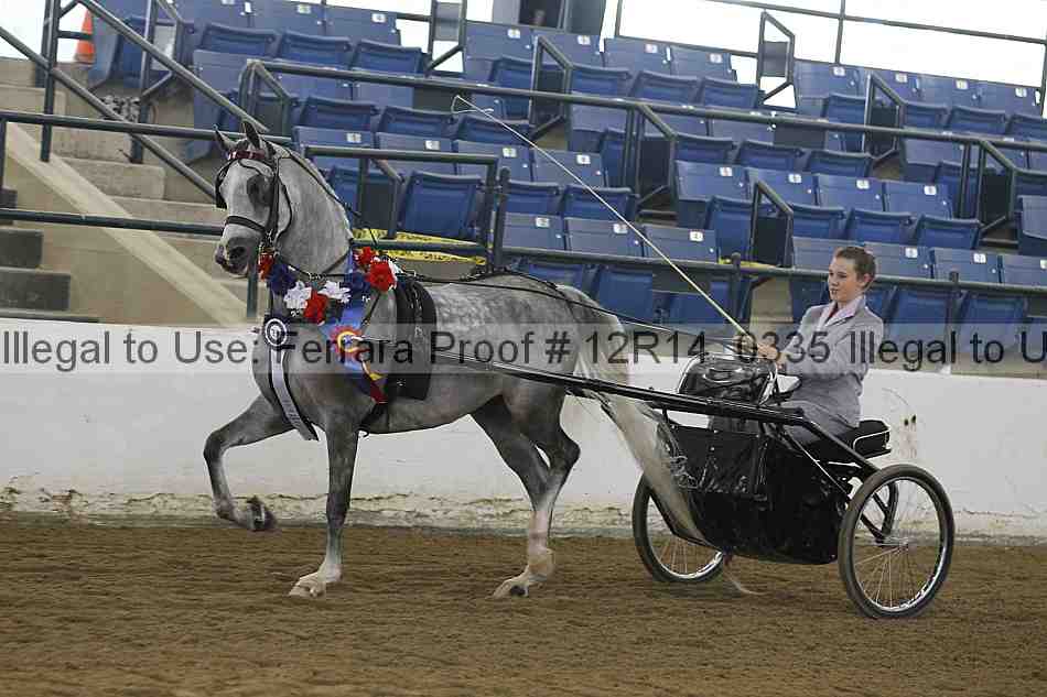 Proof Number 12r14_0335