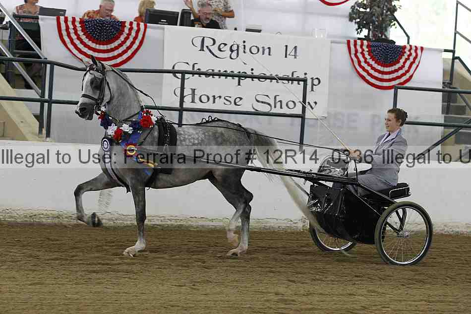 Proof Number 12r14_0336