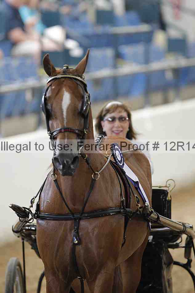 Proof Number 12r14_0337