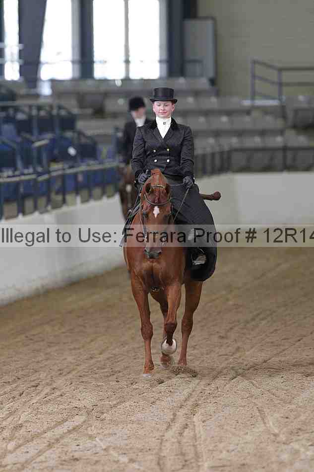 Proof Number 12r14_0364