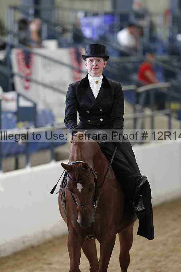 Proof Number 12r14_0371