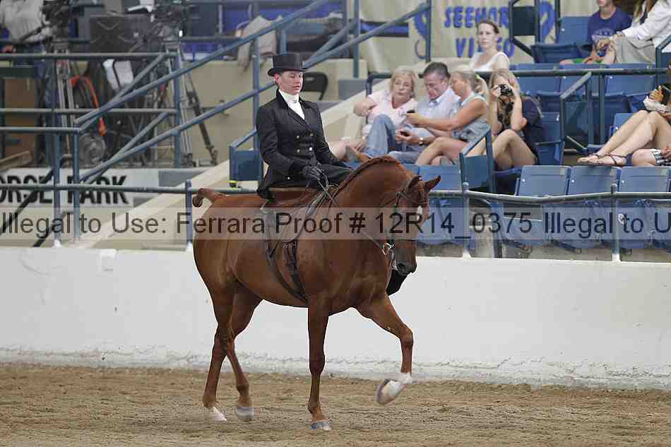 Proof Number 12r14_0375