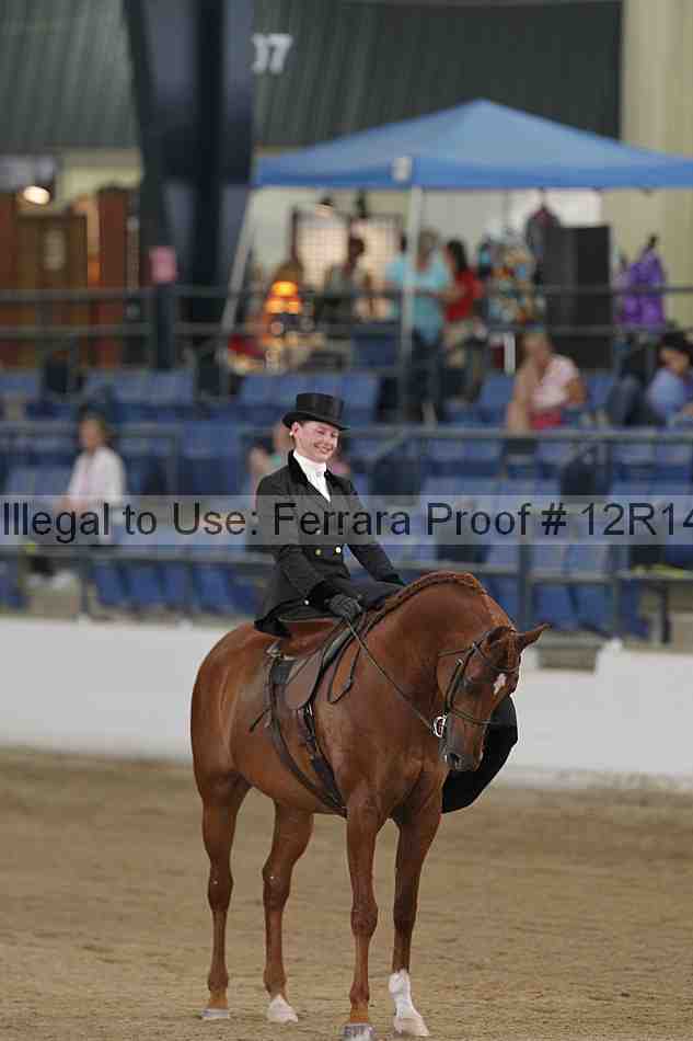 Proof Number 12r14_0376