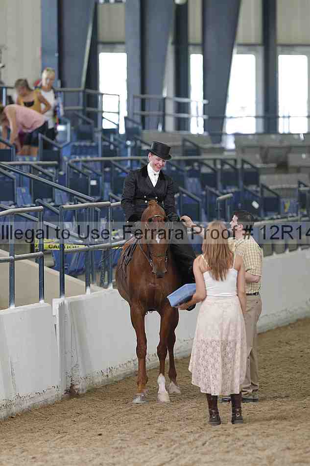 Proof Number 12r14_0387
