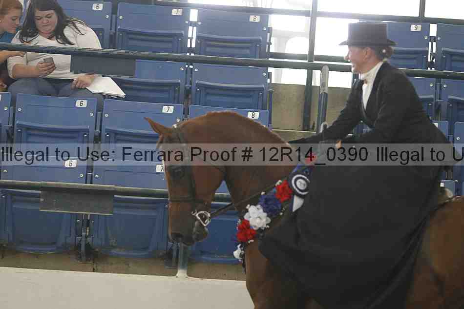 Proof Number 12r14_0390