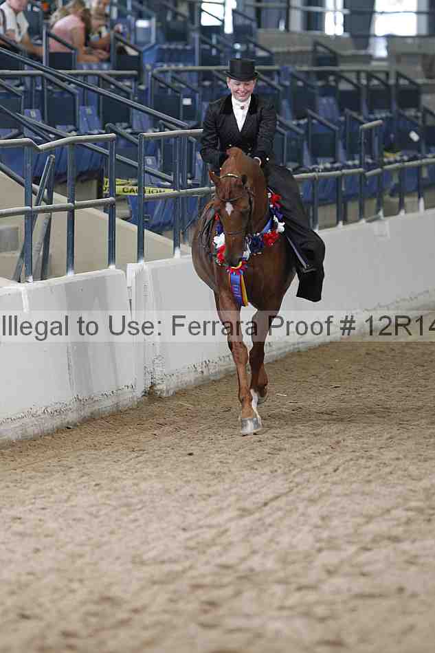 Proof Number 12r14_0395