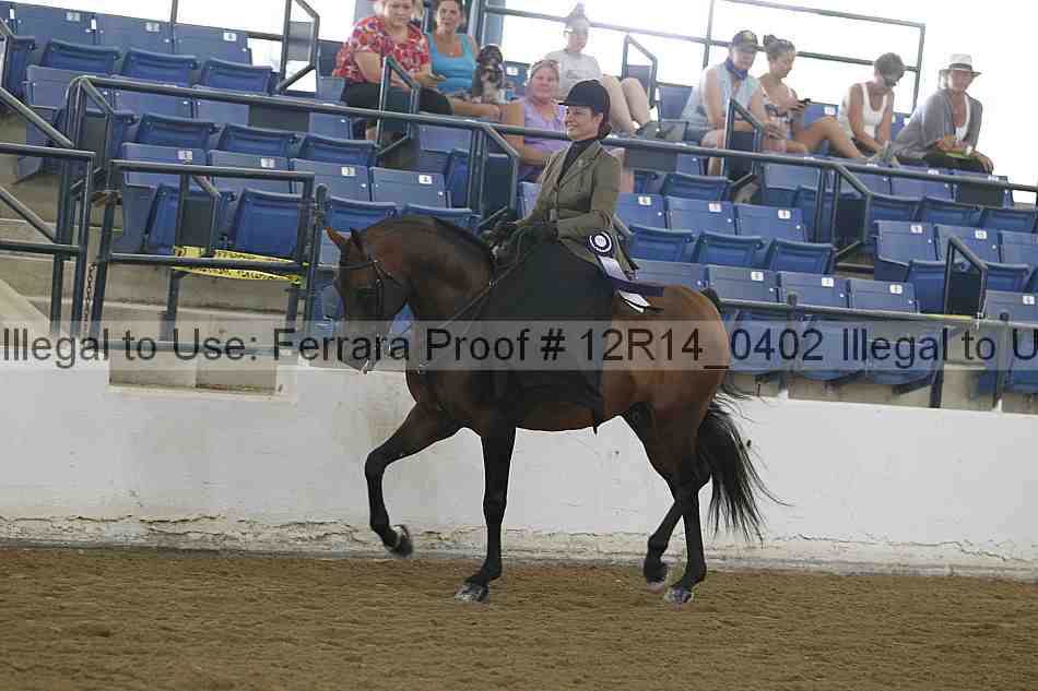 Proof Number 12r14_0402