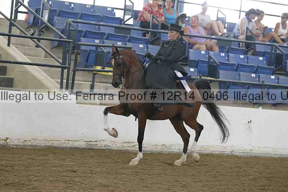 Proof Number 12r14_0406