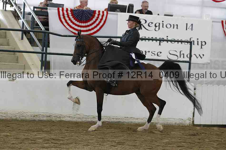 Proof Number 12r14_0409