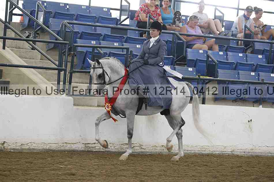 Proof Number 12r14_0412
