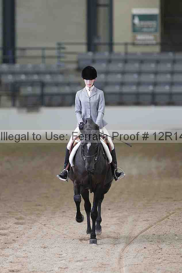 Proof Number 12r14_0442