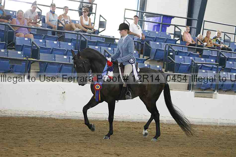 Proof Number 12r14_0454