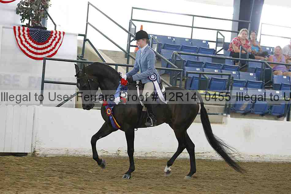 Proof Number 12r14_0455