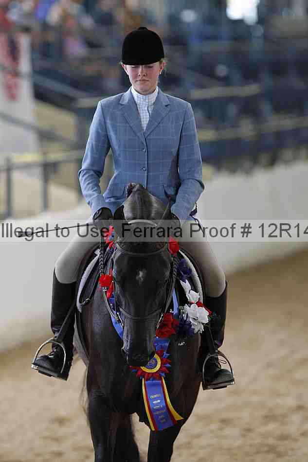 Proof Number 12r14_0463