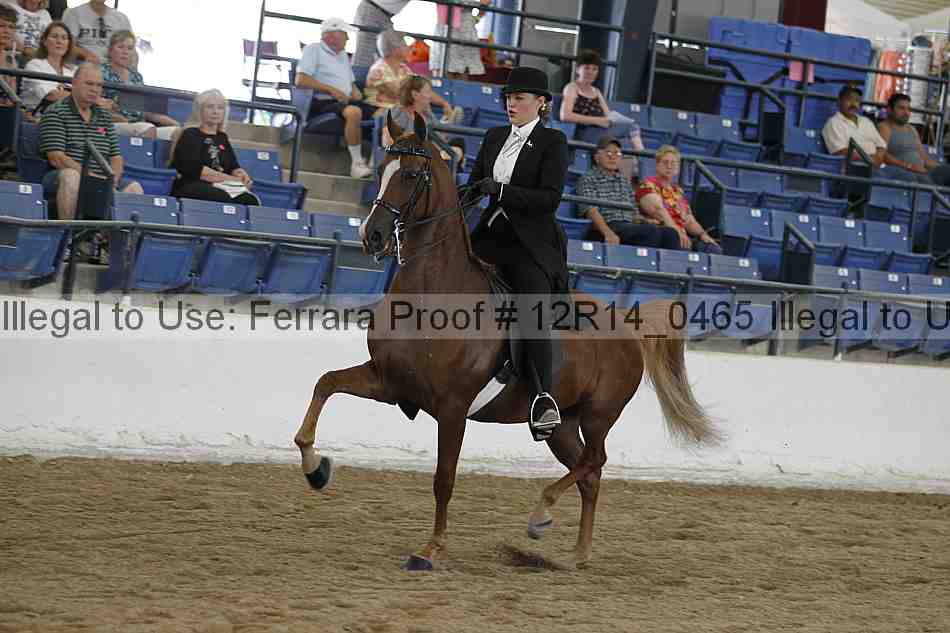 Proof Number 12r14_0465