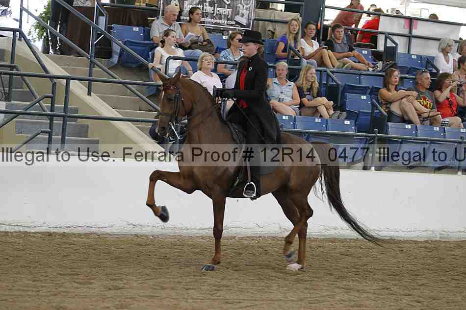 Proof Number 12r14_0477