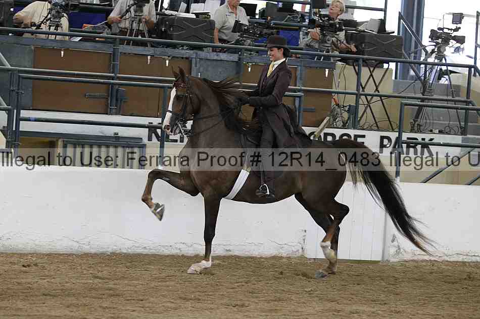 Proof Number 12r14_0483