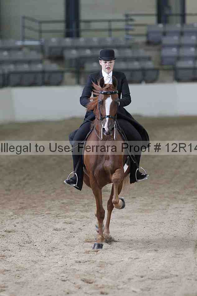 Proof Number 12r14_0485