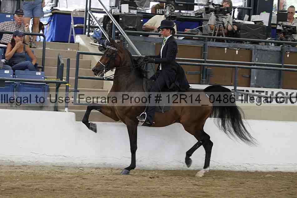 Proof Number 12r14_0486