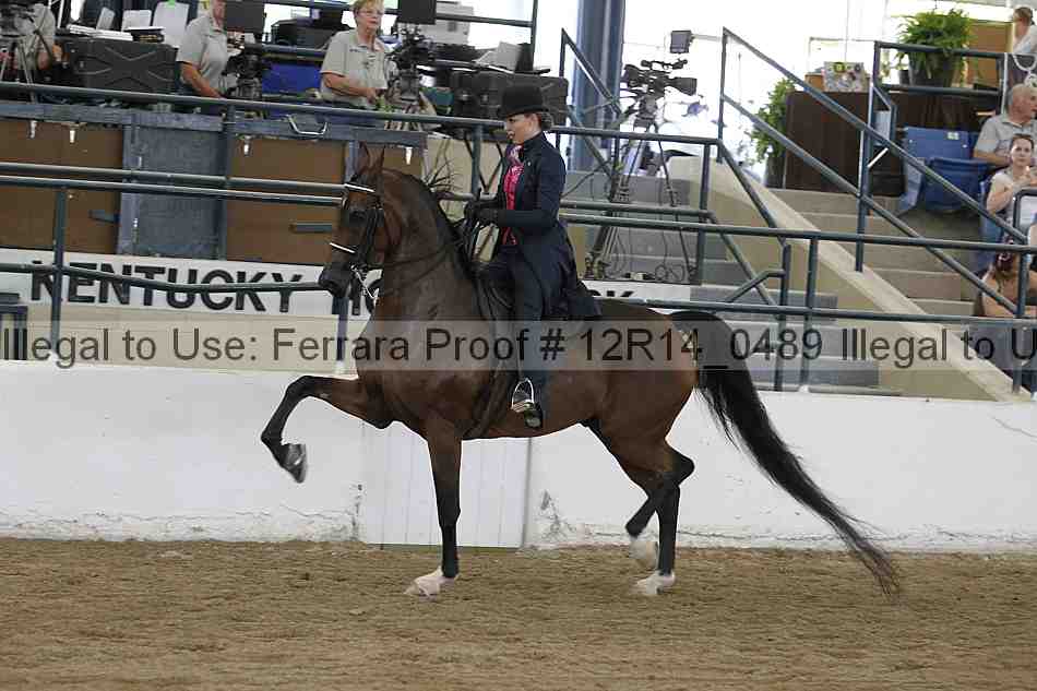 Proof Number 12r14_0489