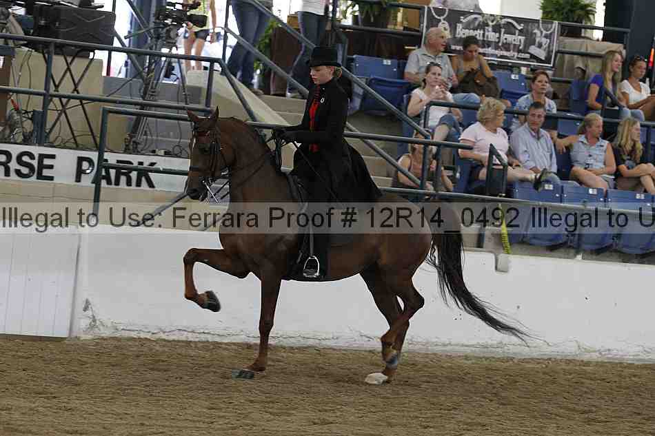 Proof Number 12r14_0492