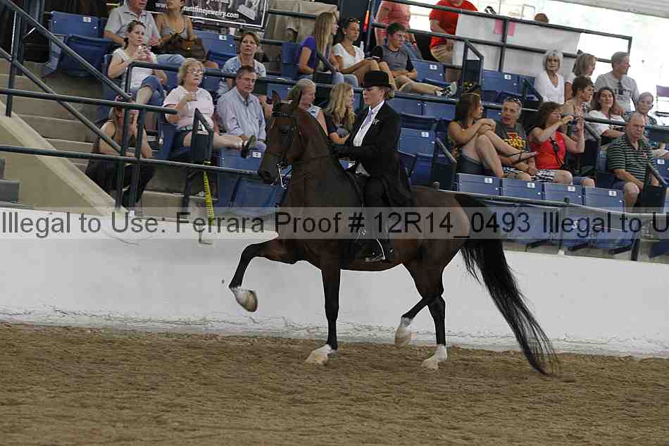 Proof Number 12r14_0493