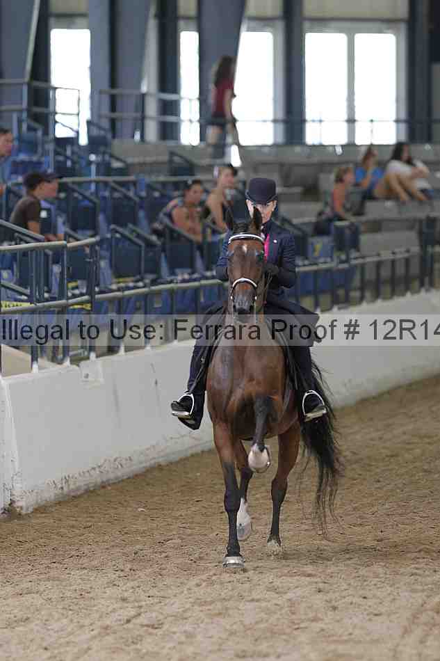 Proof Number 12r14_0494