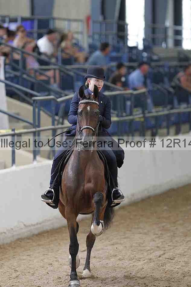 Proof Number 12r14_0496