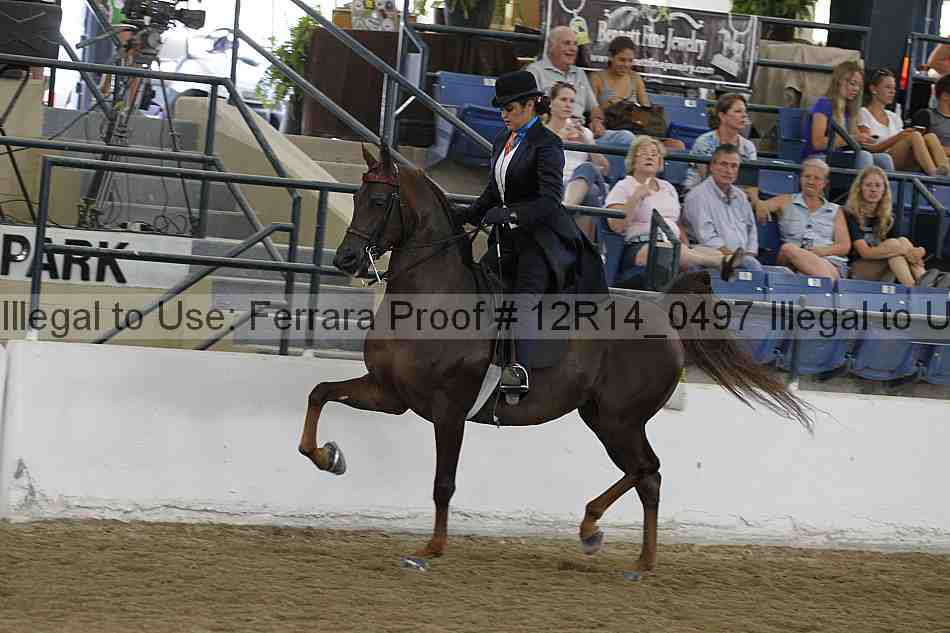 Proof Number 12r14_0497
