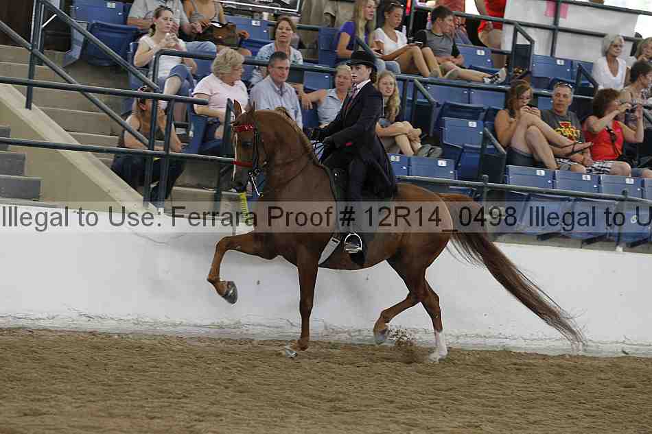 Proof Number 12r14_0498