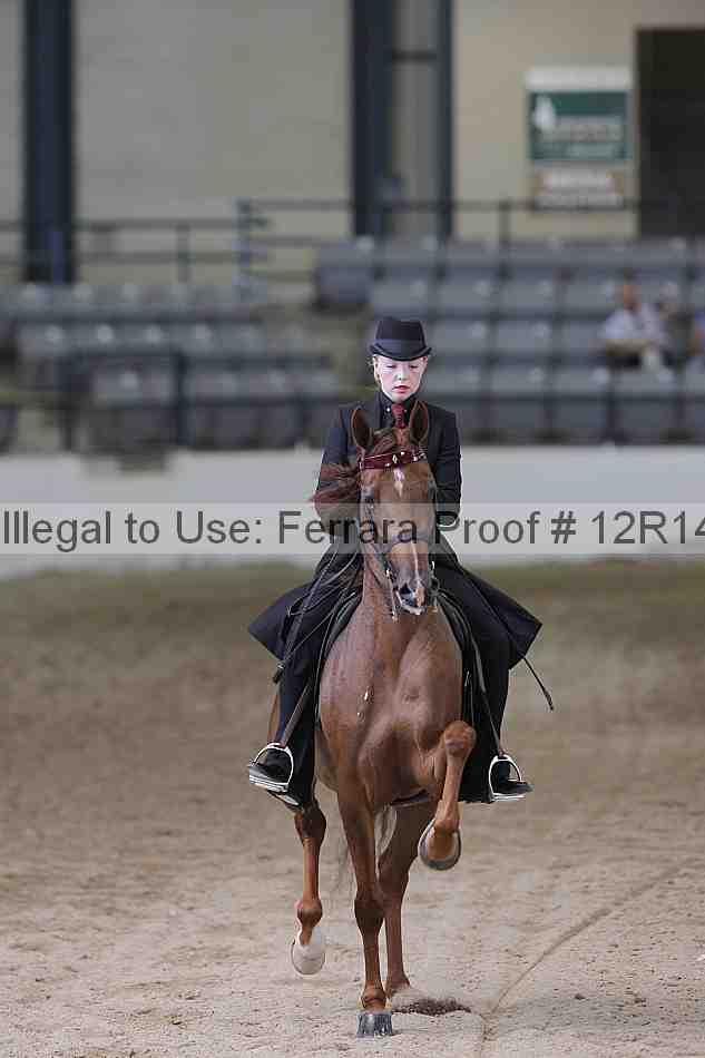 Proof Number 12r14_0499