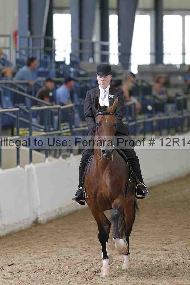 Proof Number 12r14_0500