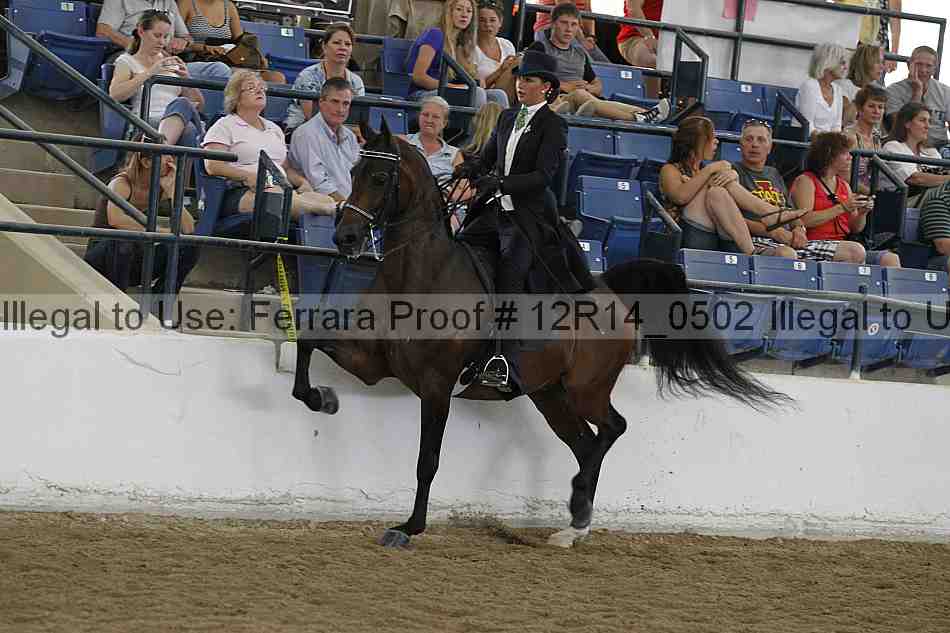 Proof Number 12r14_0502