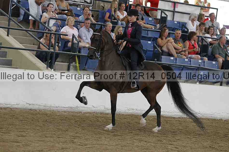 Proof Number 12r14_0504